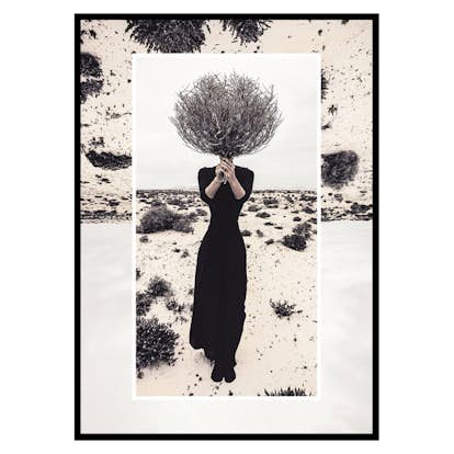 Poster Gallerix Behind The Bush