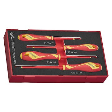Skruvmejselsats Teng Tools TEAMDV04N 1000V