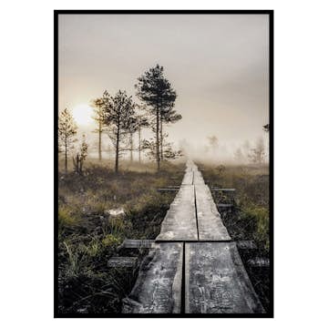 Poster Gallerix Torronsuo Wilderness