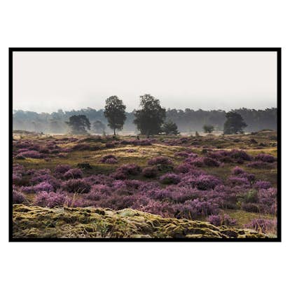 Poster Gallerix Veluwe Meadow
