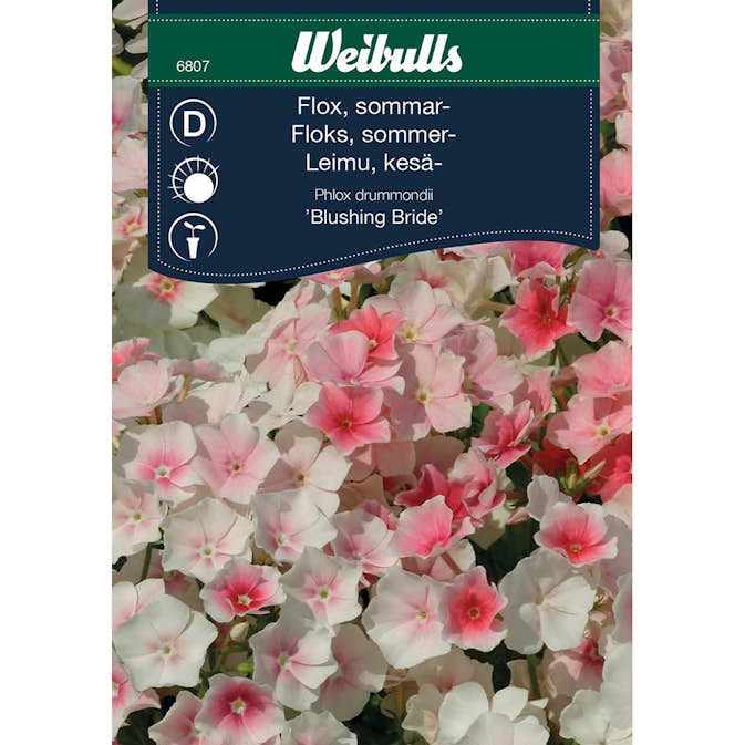 Frö Flox Weibulls Blushing Bride