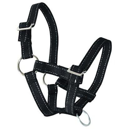 Grimma Ryom Bagge