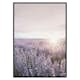 Poster Gallerix Provence Lavender