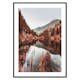 Poster Gallerix Colorado Forest