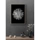 Poster Gallerix Dahlia BW