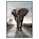 Poster Gallerix Elephant Road
