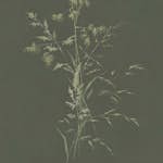 Fototapet Eijffinger Waterfront 300905