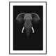 Poster Gallerix Black Elephant