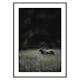 Poster Gallerix Deer in Nature