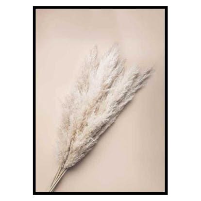 Poster Gallerix Pampas Grass