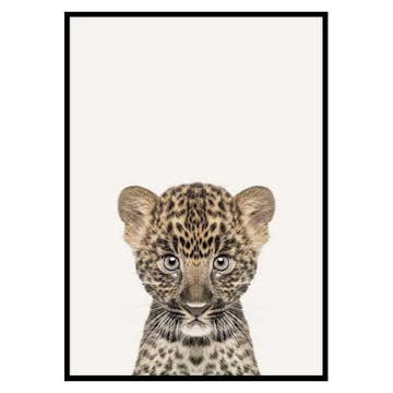 Poster Gallerix Baby Leopard
