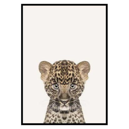Poster Gallerix Baby Leopard