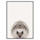 Poster Gallerix Baby Hedgehog