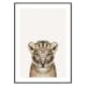 Poster Gallerix Baby Lion
