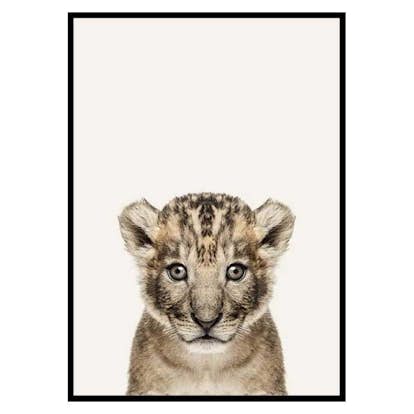 Poster Gallerix Baby Lion