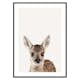 Poster Gallerix Baby Deer