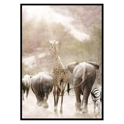 Poster Gallerix Wild African Animals