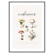 Poster Gallerix Mushrooms