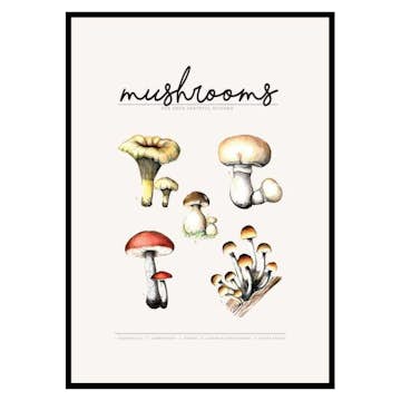 Poster Gallerix Mushrooms