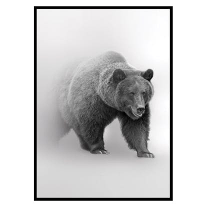 Poster Gallerix Faded Bear