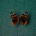 Tapet Eijffinger Unify 333266