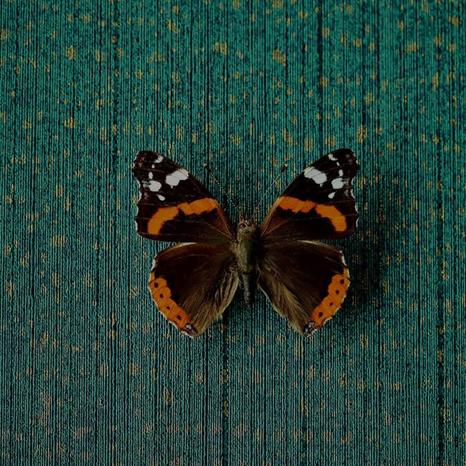 Tapet Eijffinger Unify 333266