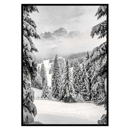 Poster Gallerix Between Spruces