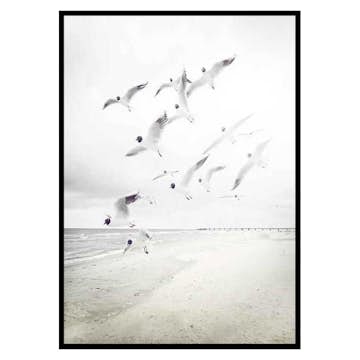Poster Gallerix Black-Headed Seagulls