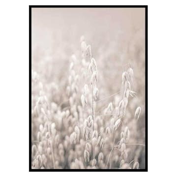 Poster Gallerix Oats No2