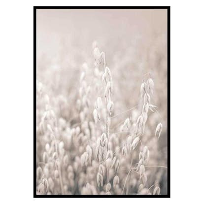 Poster Gallerix Oats No2
