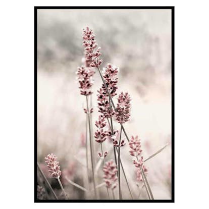 Poster Gallerix Dried Plants No4