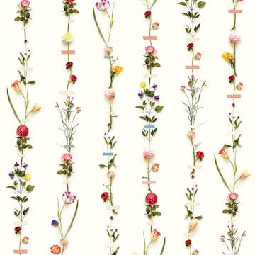 Fototapet Eijffinger PIP 2014 341087