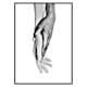 Poster Gallerix Hands No2