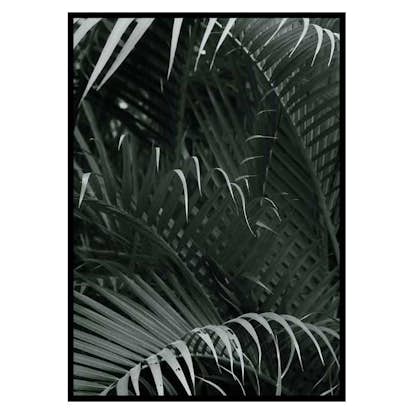 Poster Gallerix Palm Leaf No1