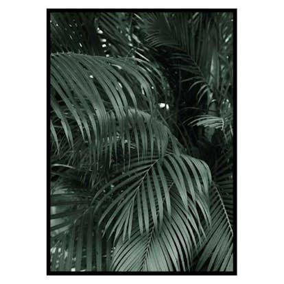 Poster Gallerix Palm Leaf No2
