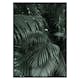 Poster Gallerix Palm Leaf No2