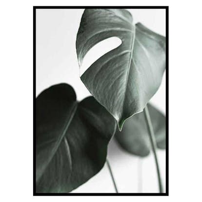 Poster Gallerix Green Leaves No1