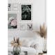 Poster Gallerix Pink peonies No1