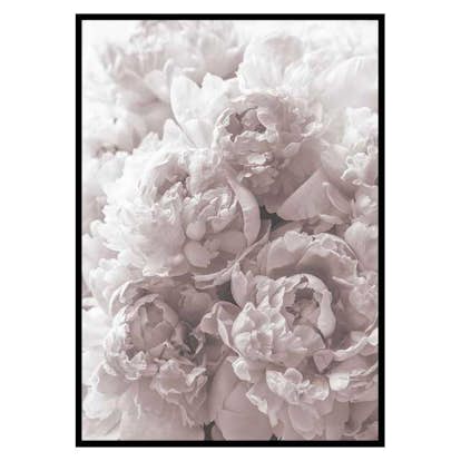 Poster Gallerix Bright Pink Roses No2