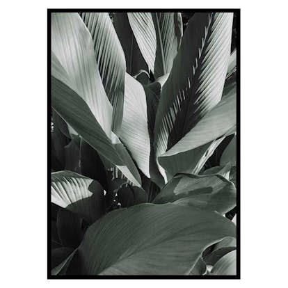 Poster Gallerix Banana Leaves No4