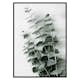 Poster Gallerix Eucalyptus No6