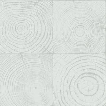 Tapet Origin Tvärsnitt Trädstammar Mintgrön