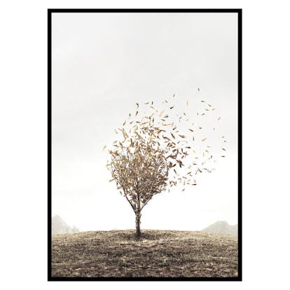 Poster Gallerix Blowing Away