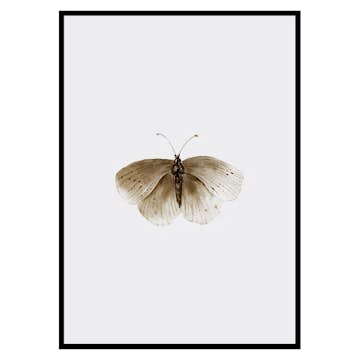 Poster Gallerix Watercolor Butterfly