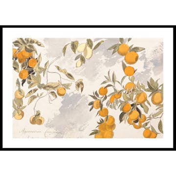 Poster Gallerix Fruit Trees By Edward Lear