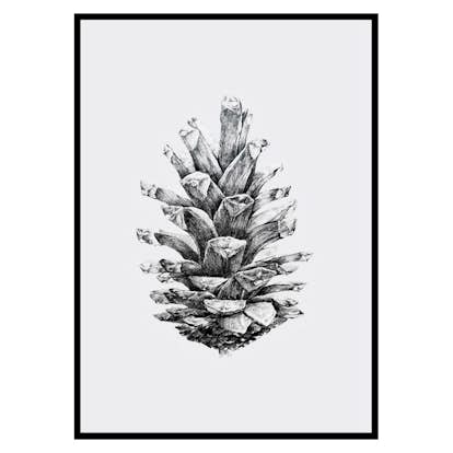 Poster Gallerix Sketched Spruce Cone