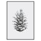 Poster Gallerix Sketched Spruce Cone