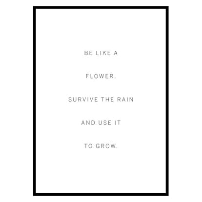 Poster Gallerix Like A Flower