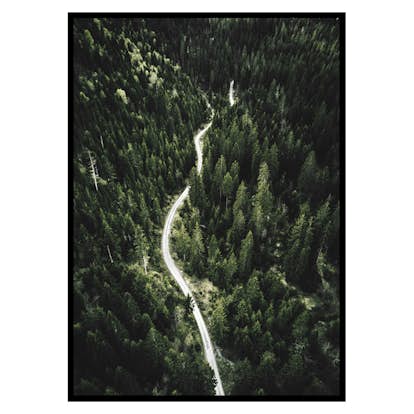 Poster Gallerix Coniferous Forest