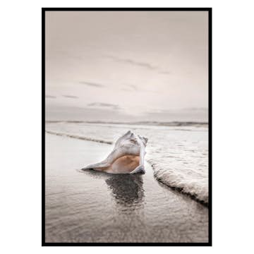 Poster Gallerix Shell On Beach